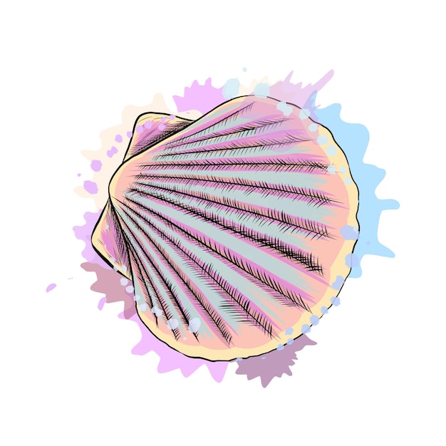 Top view sea shell scallops from a splash of watercolor colored drawing realistic