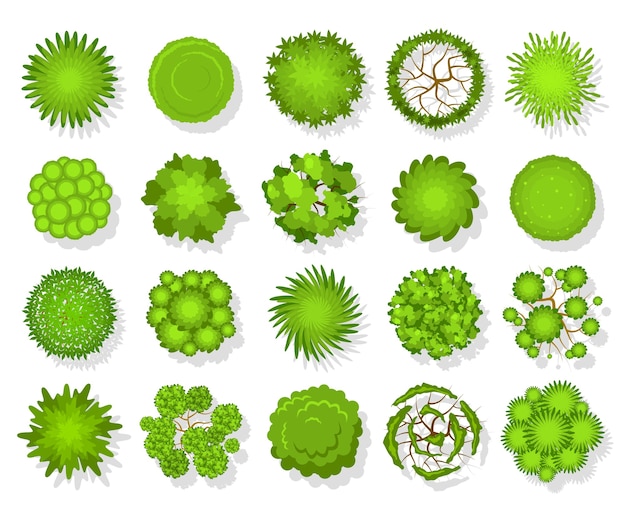 Top view tree. Aerial landscape green planting, park map vegetation and tropical forest plan elements from above  garden ing topview for landscaping set