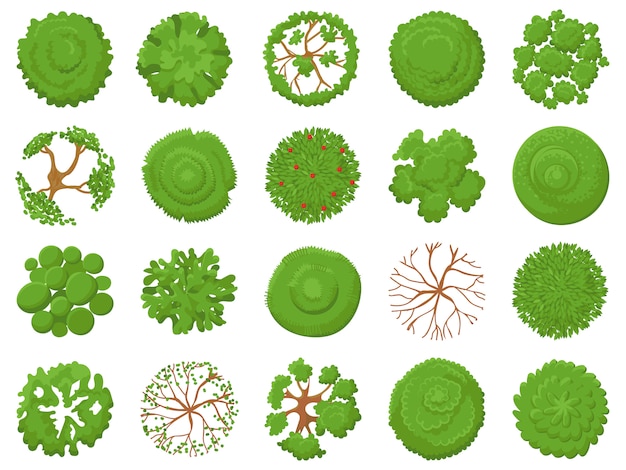 Top view tree. Planting green trees, park map vegetation and tropical forest maps viewing from above  illustration set