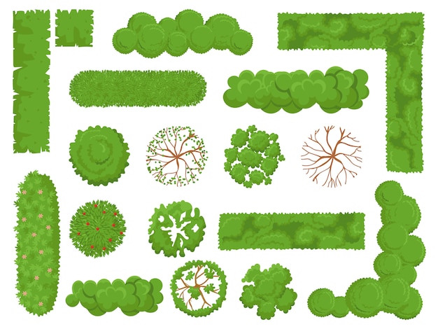 Top view trees and bushes, Forest tree, green park bush and plant map elements look from above isolated  set