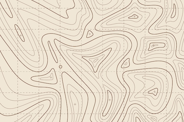 Topographic map background concept