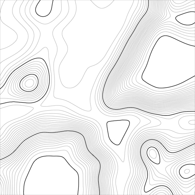 Vector topographic map background grid map vector illustration