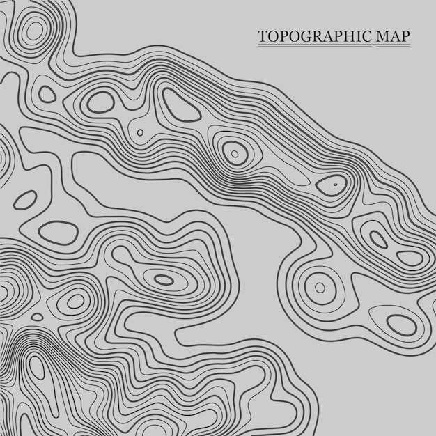 Topographic map Vector illustration Contour Map background