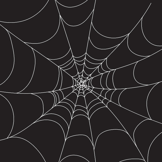 Torn cobweb on black background vector