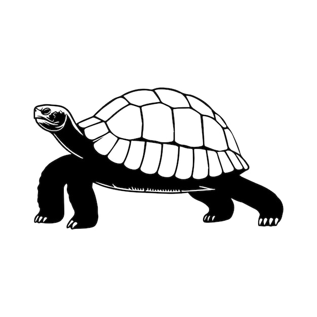 Vector a tortoise back leg push vector illustration in black and white