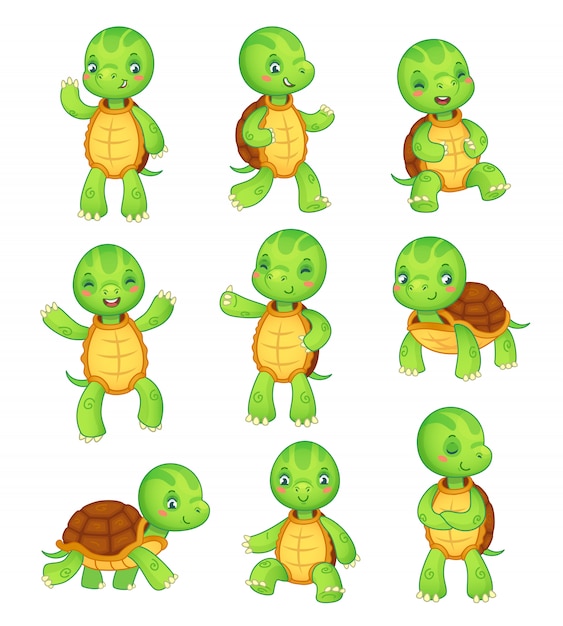 Tortoise colorful isolated characters vector animal illustration collection