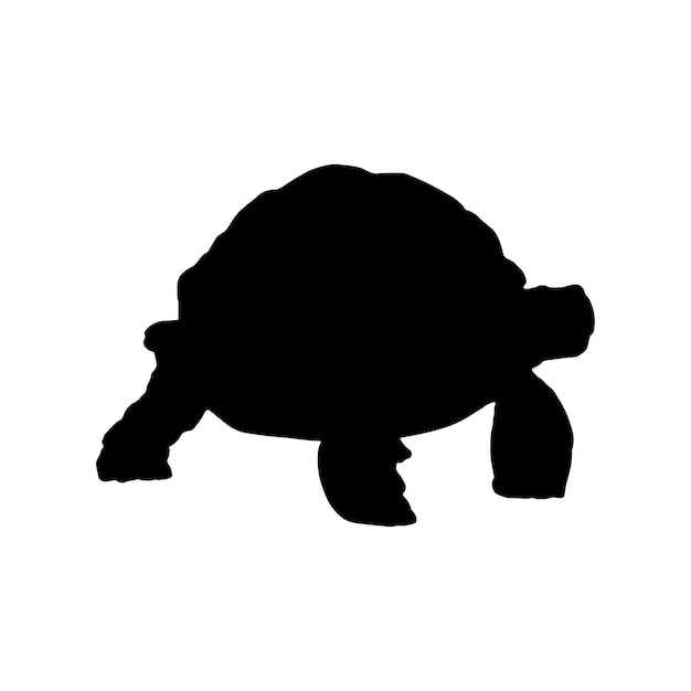 Vector tortoise silhouette set collection isolated black on white background vector illustration