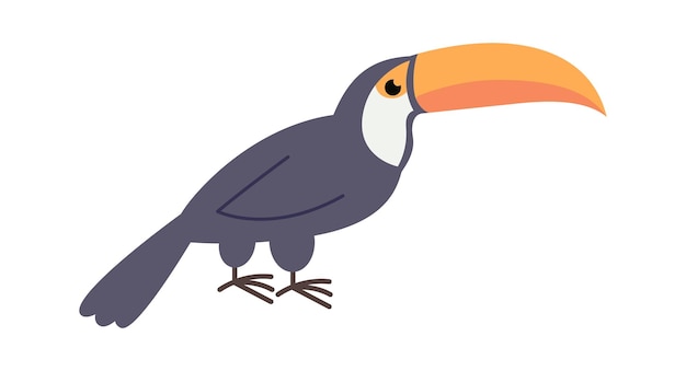 Toucan bird African animal Vector illustration