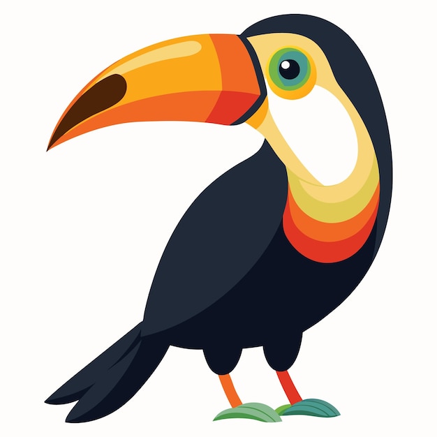 Vector toucan bird vector illustration