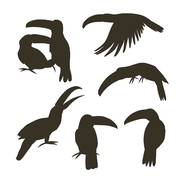 Vector toucan bird vector silhouette illustrations set