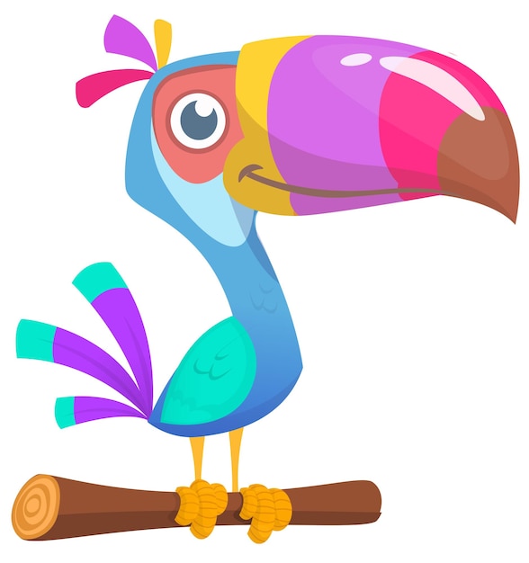 Toucan cartoon Vector toucan bird Exotic colorful bird illustration