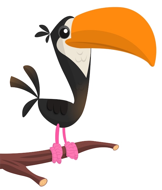 Toucan cartoon Vector toucan bird Exotic colorful bird illustration