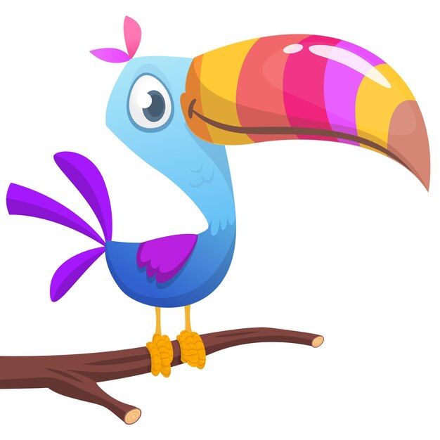 Toucan cartoon Vector toucan bird Exotic colorful bird illustration