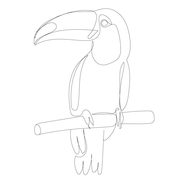 Toucan continuous line drawing sketch vector