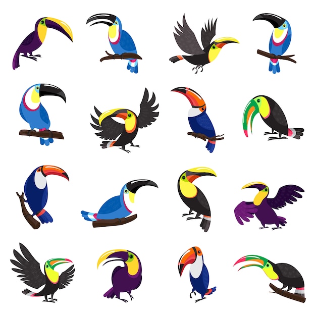 Toucan icons set. Cartoon set of toucan icons 