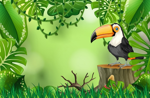 A toucan in nature green template