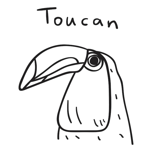 Toucan. Outline vector simple  illustration.