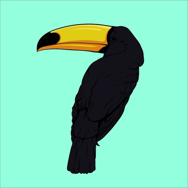 Toucan Tropical Bird Illustration