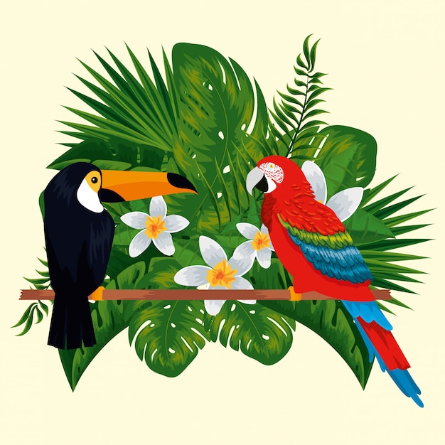 Toucan with parrot animals with flowers and leaves