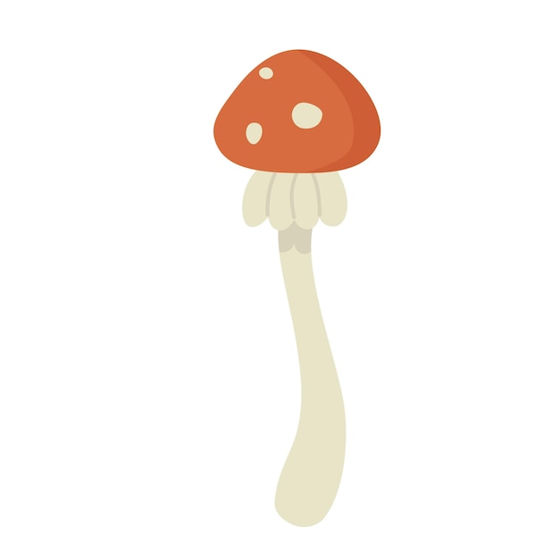 Toxic forest mushroom