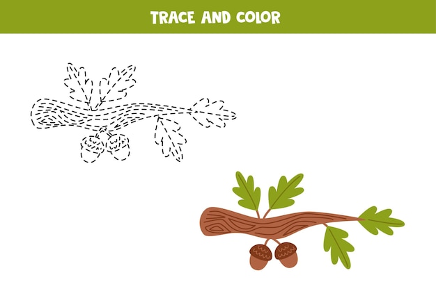 Trace and color cartoon cute acorn Worksheet for children