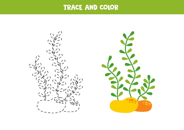 Trace and color cartoon sea weed Worksheet for children