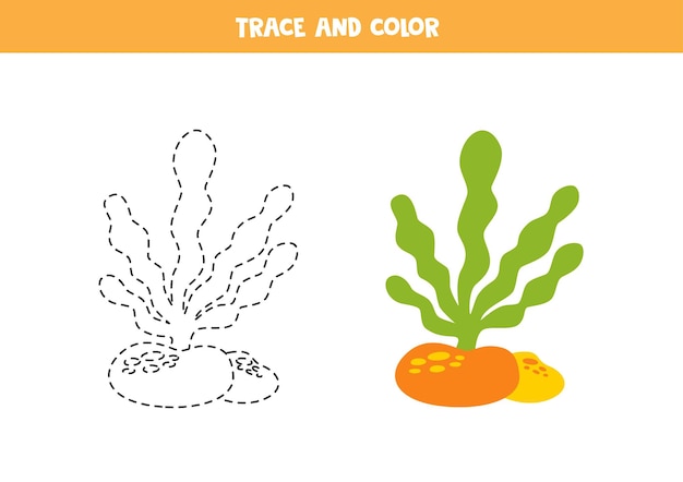 Trace and color cartoon sea weed Worksheet for children