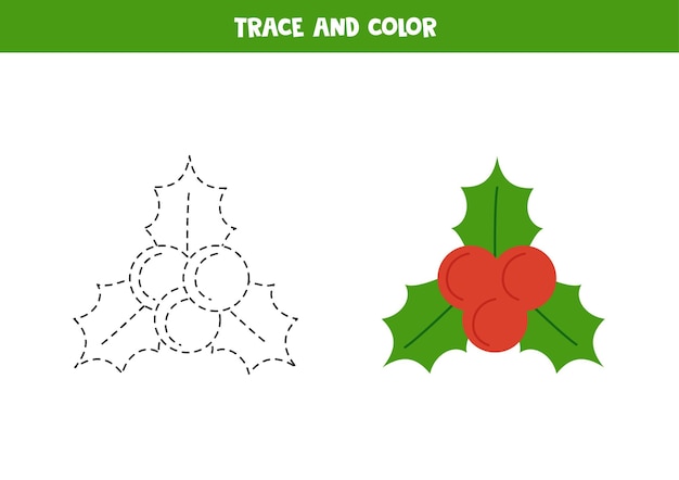 Trace and color Christmas holly Worksheet for children