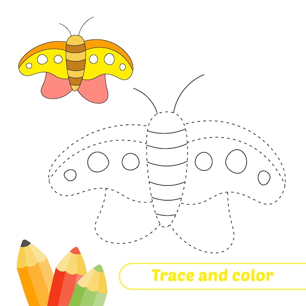 Trace and color for kids butterfly vector