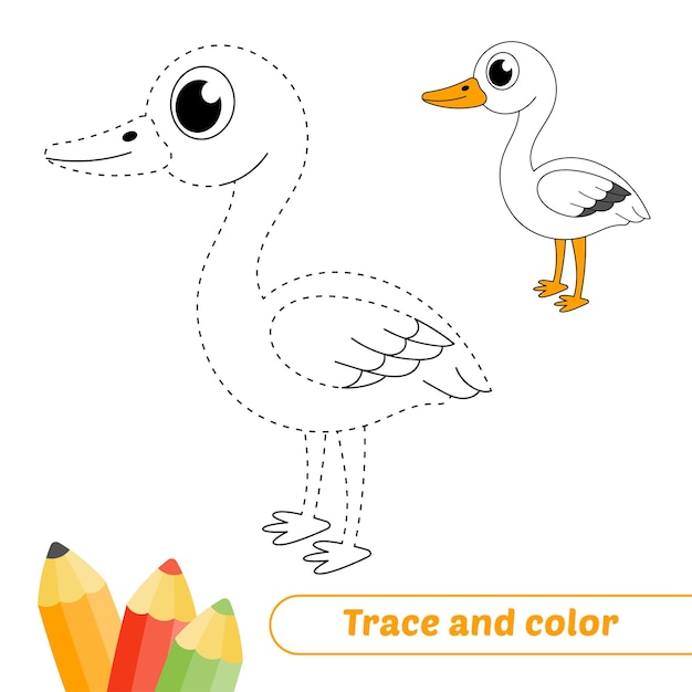 Trace and color for kids stork vector