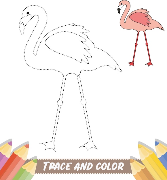 Vector trace and colour for children