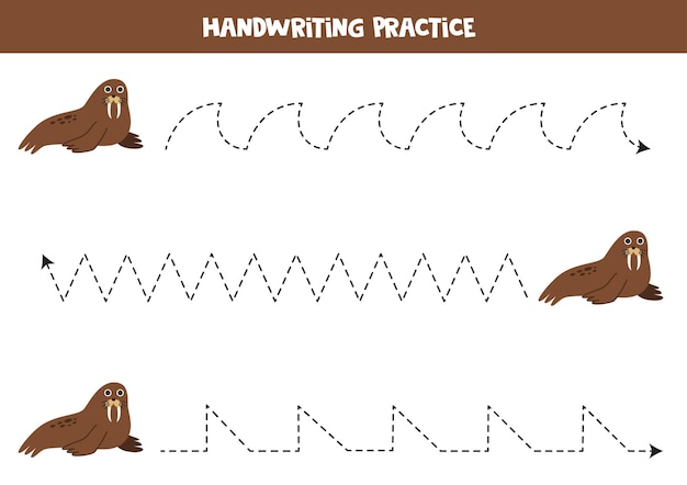 Tracing lines for kids Cartoon cute walrus