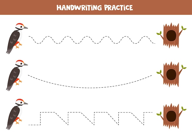 Tracing lines for kids Cartoon cute woodpecker and tree hollow