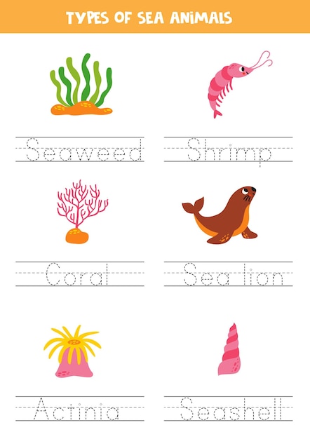 Tracing names of sea animal types Writing practice