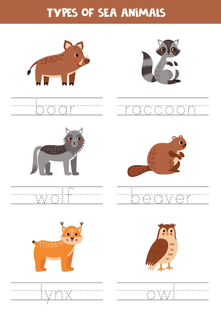 Tracing names of woodland animal types Writing practice