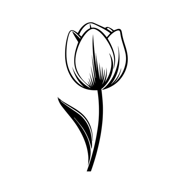 Tranquil Tulip silhouette vector illustration Tranquil Tulip silhouette Icon and Sign