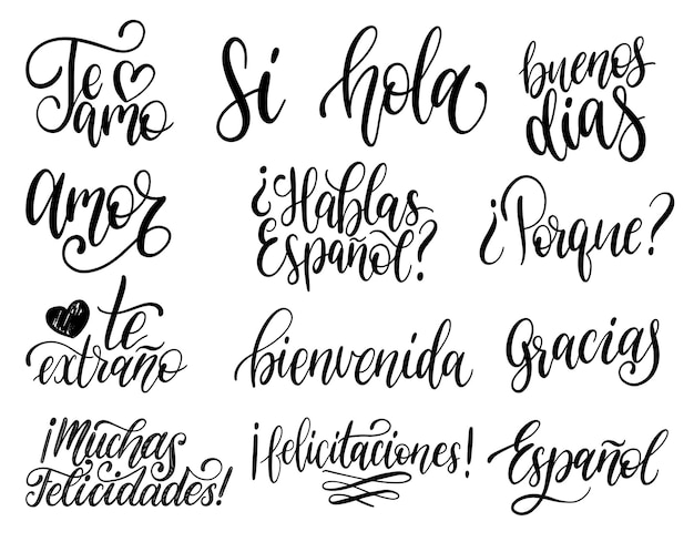 Translated from Spanish handwritten phrases WelcomeThank You Yes etc Vector calligraphy set on white background