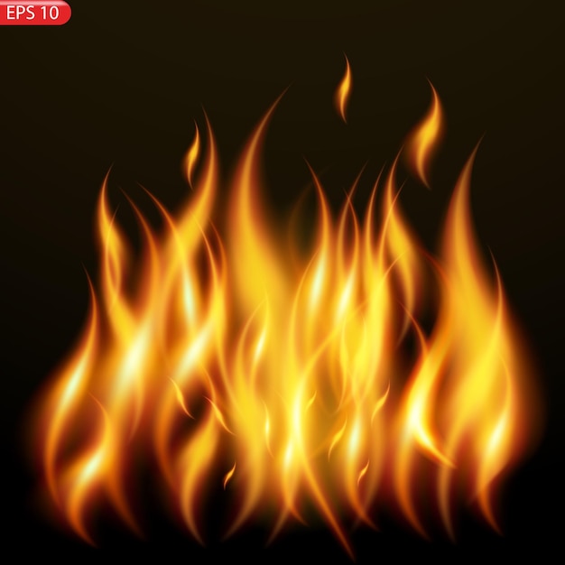 Translucent fire flames and sparks with horizontal repetition on transparent background For used on