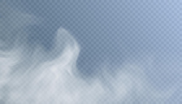 Translucent smoke isolated on a transparent background. Steam effect special effect. Vector texture.