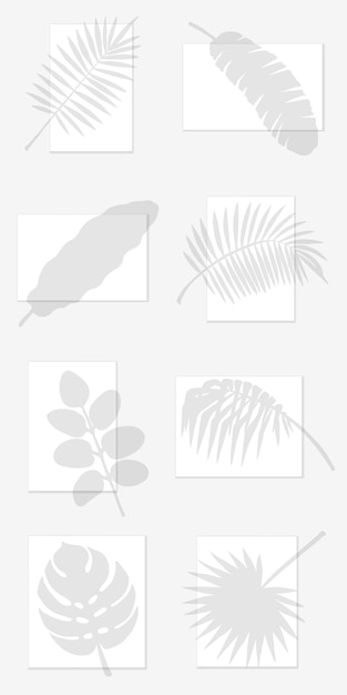 Vector transparent overlay shadow of palm leaves