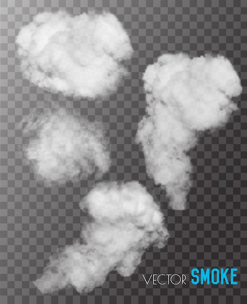 Transparent set of smoke vectors