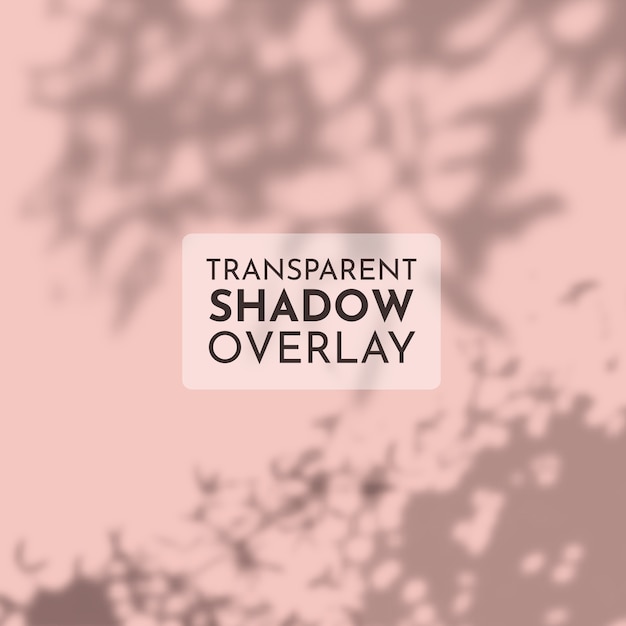 Vector transparent shadow overlay