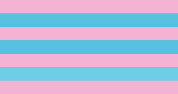 transsexual  lgbt pride flag vector image