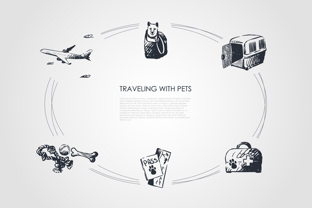 Traveling with pets  concept set illustration