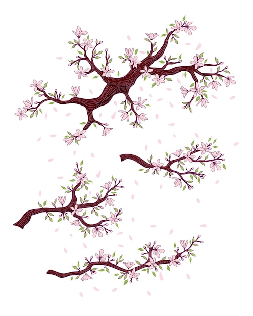 tree branch set, seasons spring