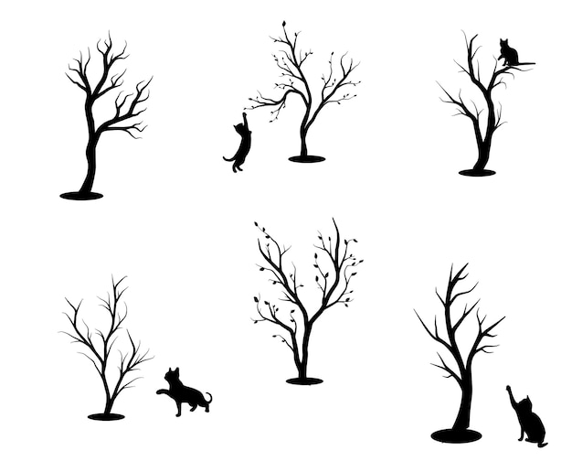 Tree Branch with Cat in Silhouette