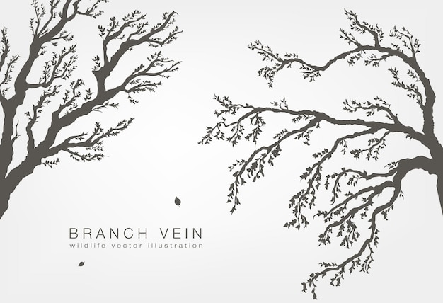 Tree branches with leaves and wood on a white background.