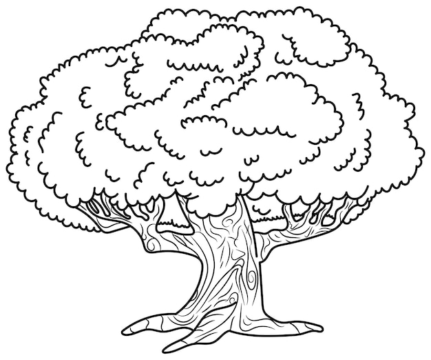 Tree coloring Page , Black and white Vector art illustration, Sketch