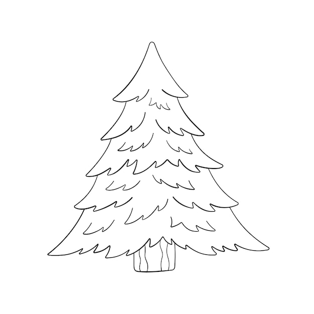 Tree in doodle style vector illustration Fir outline isolated for print and design