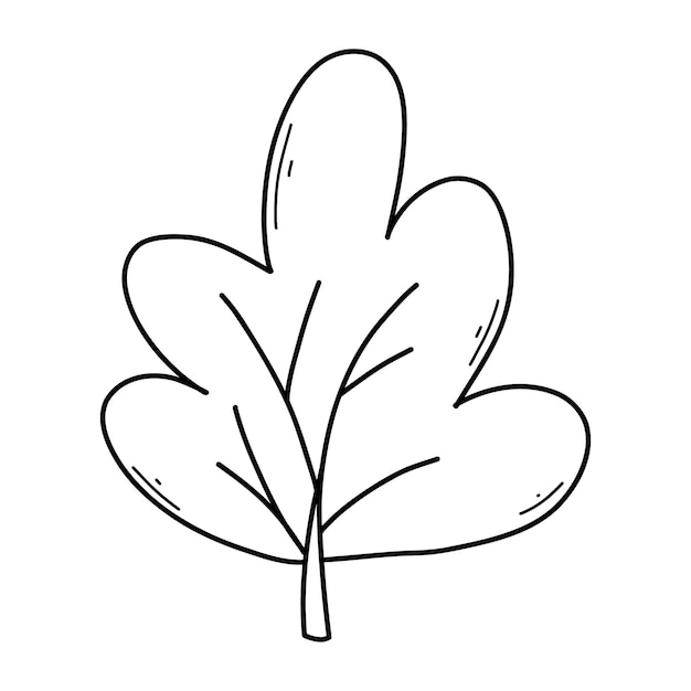 Tree in doodle style Vector illustration Linear tree bush